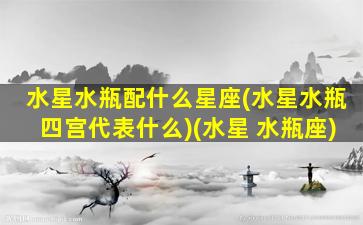 水星水瓶配什么星座(水星水瓶四宫代表什么)(水星 水瓶座)